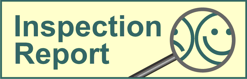 View inspection report